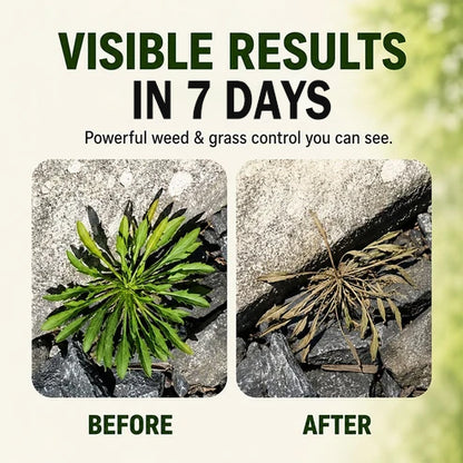 😆 Surprise! You've Unlocked 70% OFF Your 2nd SVOZK® Weed Killer! 🌿 One-Time Exclusive Deal!