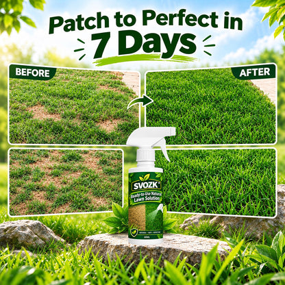 🔥 50% OFF! SVOZK® Ready-to-Use Lawn Care Spray 🌿 | Greener Lawn, Less Hassle