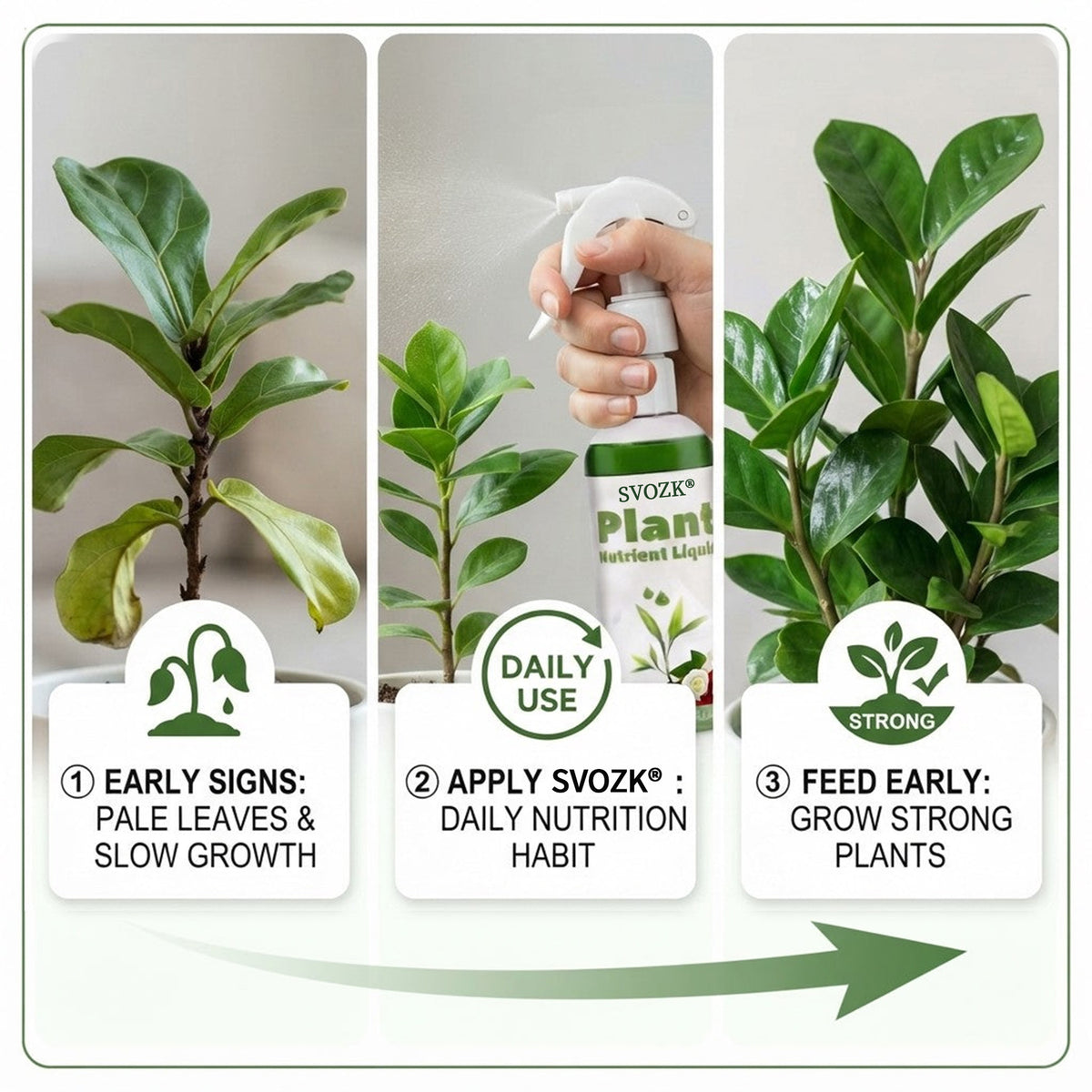 🎉 Surprise! You've Unlocked 70% OFF Your 2nd SVOZK® Plant Nutrient Solution — One-Time Offer! 🌱